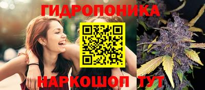 крисы Вязники