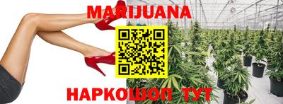 крисы Вязники