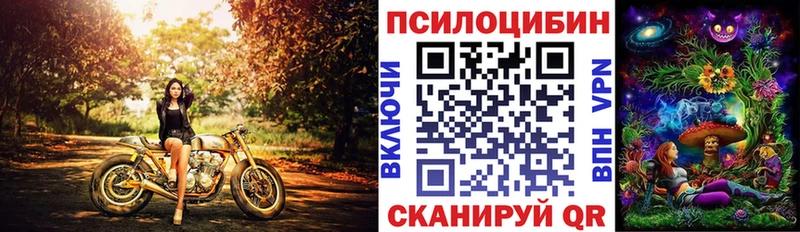 Псилоцибиновые грибы Psilocybe Копейск
