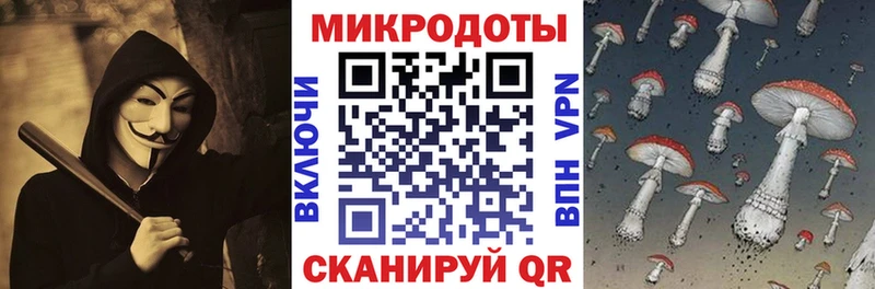 магазин продажи наркотиков Копейск Галлюциногенные грибы Psilocybe