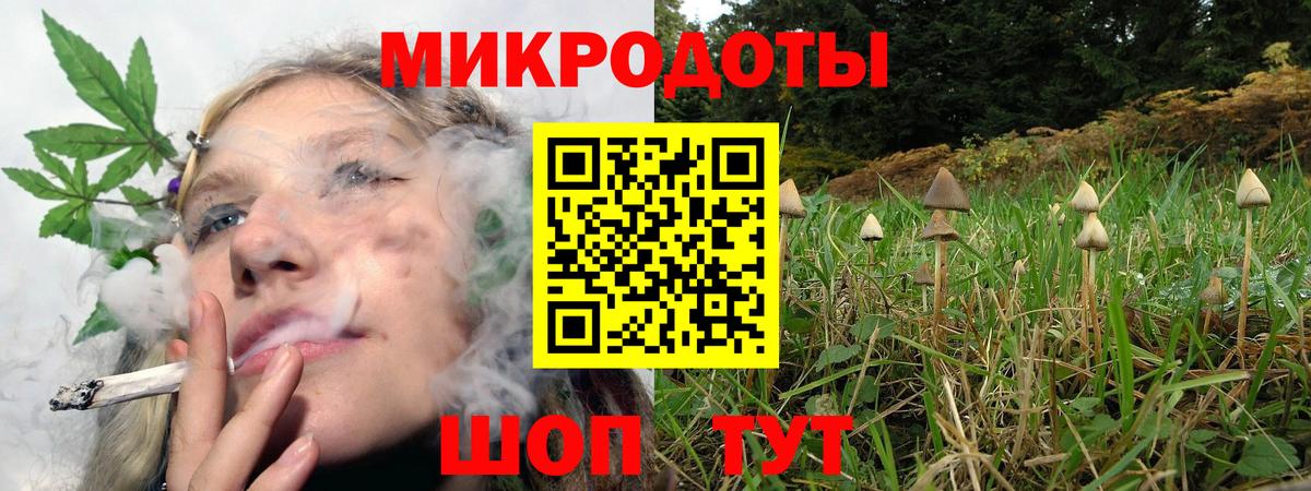 Галлюциногенные грибы прущие грибы Копейск